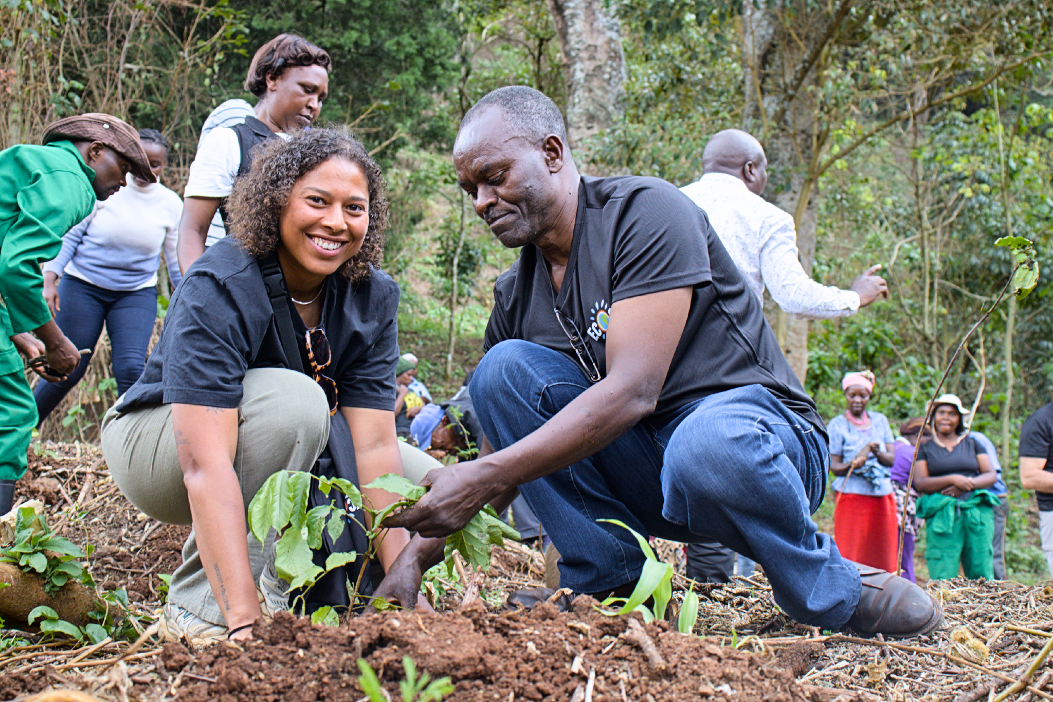 Tree planting in Nyeri hill with Gls group