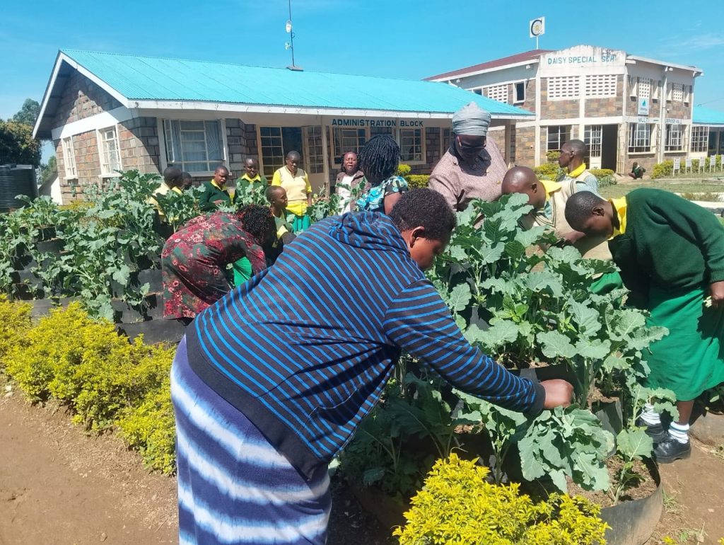 RODI Kenya community work